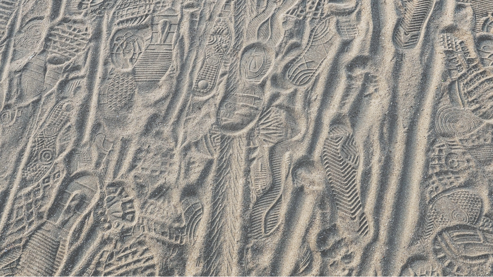 Netherlands Beach